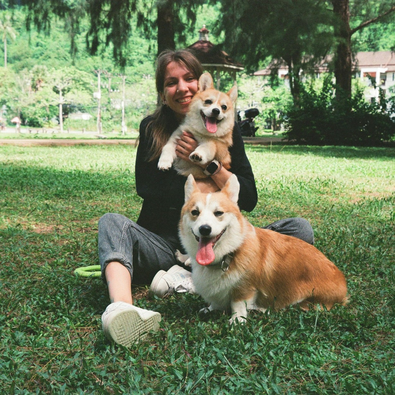 women-is-playing-with-her-dogs